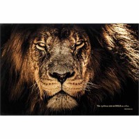 Plaque Wall Rightous Prov.28:1 Mdf 30x20