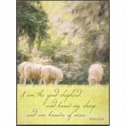 Plaque Wall Good Shepherd Jn. 10:14 Mdf 6x8
