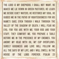 Framed Wall Art Psalm 23 Wd 19x19