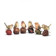 Birds On Nuts Ornaments 6 Ast Pack of 48