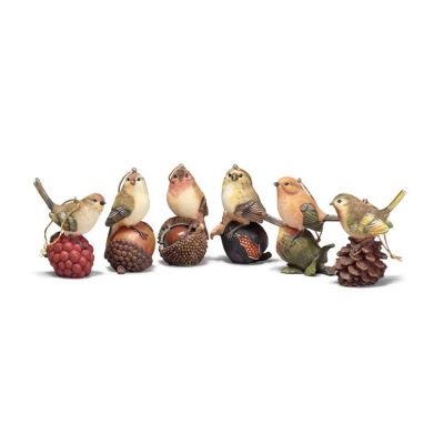 Birds On Nuts Ornaments 6 Ast Pack of 48 - 603799183758 - CHO-132