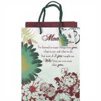6pk -Gift bag Small Mom I Have Learn (Pack of 6)