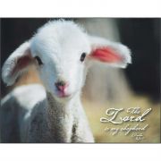 Lamb-the Lord Is My Shepherd Psalm 23:1 Wall Plaque