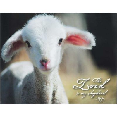 Lamb-the Lord Is My Shepherd Psalm 23:1 Wall Plaque - 603799229234 - PLK1411-208