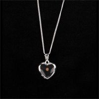 Necklace Silver Plated Mustard Seed Heart w/18 Inch Chain