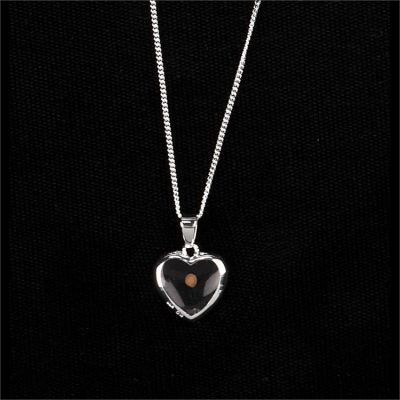 Necklace Silver Plated Mustard Seed Heart w/18 Inch Chain - 714611140184 - 73-2272P