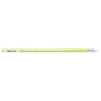 Pencil Green New Testament Books Pack of 144