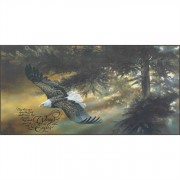 Plaque Freedom /They That Wait And Not Be Weary Isaiah 40:31