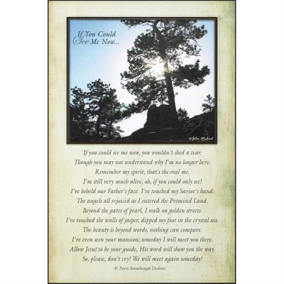 Plaque If You Could See Me Now by John Michael - 603799502276 - SPLK1218-386