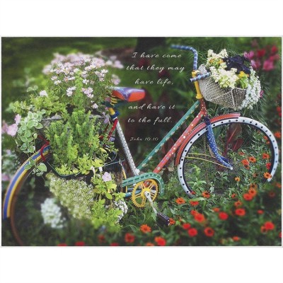Plaque MDF John 10:10 May Have Life Fully - 603799531801 - PLK912-1277