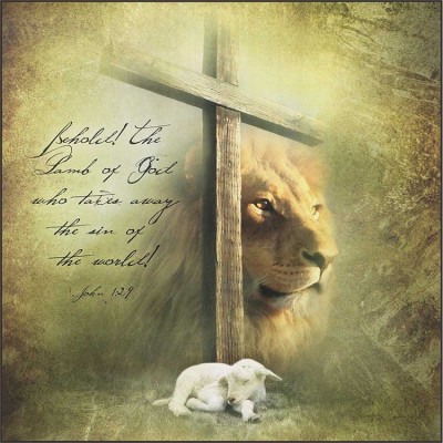 Plaque MDF Lamb Of God Takes Away The Sin Of The World! John 1:29 - 603799542890 - PLK1212-1418