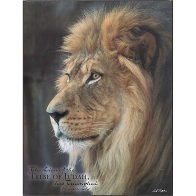 Plaque MDF Lion of The Tribe, Revelation 5:5 - 603799564359 - PLK1013-1539