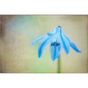 Plaque MDF My Grace is Sufficient for you, 2 Corinthians 12:9.