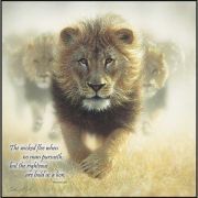 Plaque MDF Righteous Are As Bold As A Lion Proverbs 28:1