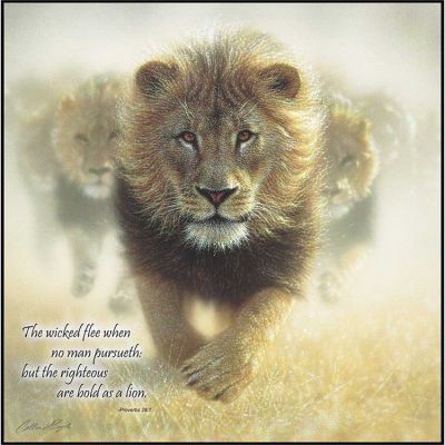 Plaque MDF Righteous Are As Bold As A Lion Proverbs 28:1 - 603799542845 - PLK1212-1413