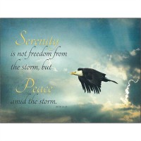Plaque MDF Serenity Is Not Freedom From The Storm, John 16:33