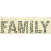 Plaque MDF This Is Our Family 18 x 6" By Lauren Rader