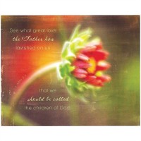 2pk -Plaque MDF Young Blossom-See What Great Love 1 John 3:1, (Pack of 2)