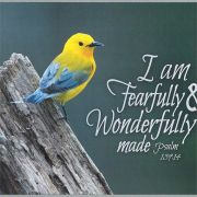 Prothonotary Warbler-I Am Fearfully Wall Plaque (Pack of 2)