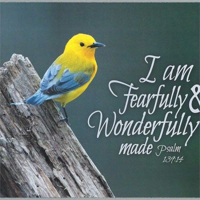 Prothonotary Warbler-I Am Fearfully Wall Plaque (Pack of 2) - 603799229128 - PLK108-217
