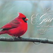 Red Cardinal-Come Near to God, Wall Plaque (Pack of 2)