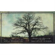 Roots Grow Down-Let Your Roots Grow Colossians 2:7 Wall Plaque