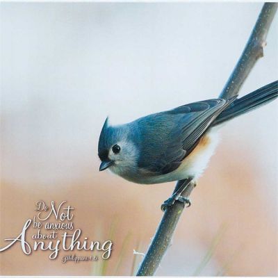 Tufted Titmouse-Do Not be Anxious Wall Plaque (Pack of 2) - 603799229111 - PLK108-216