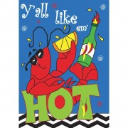 2pk -Flag Yall Like Em Hot Polyester 29x42 - (Pack of 2)