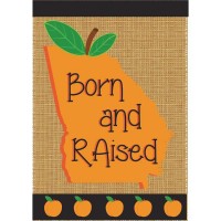 2pk -Flag Born Raised Georgia Polyester 29x42 - (Pack of 2)