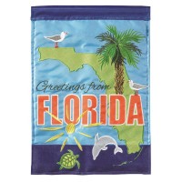 2pk -Flag Florida State Greetings 13x18 - (Pack of 2)