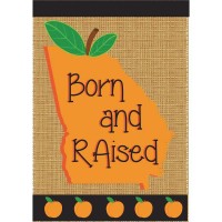 2pk -Flag Born Raised Georgia Polyester 13x18 - (Pack of 2)