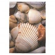 2pk -Flag Seashells Polyester 30x44 - (Pack of 2)