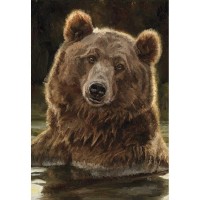 2pk -Flag Playful Bear Polyester 13x18 - (Pack of 2)