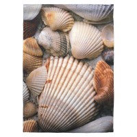 2pk -Flag Seashells Polyester 13x18 - (Pack of 2)