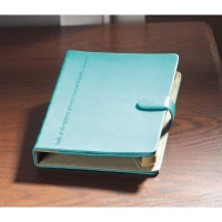 KINDLE FIRE AQUA OLD SPINE