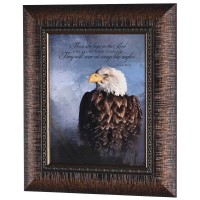 Framed Wall Art Those Who Hope Is.40:31 Framed Wall Art Those Who Hope Is.40:31