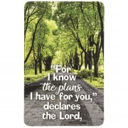 12pk -FOR I KNOW THE PLANS POCKETCARD - Pack of 12 12pk -FOR I KNOW THE PLANS POCKETCARD - Pack of 12