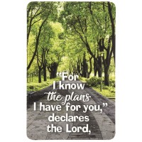 12pk -FOR I KNOW THE PLANS POCKETCARD - Pack of 12