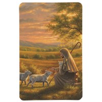 12pk -Pocketcard Jesus And The Lamb - Pack of 12 12pk -Pocketcard Jesus And The Lamb - Pack of 12
