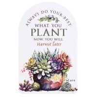 12pk -Pocketcard Always Do Your Best - Pack of 12 12pk -Pocketcard Always Do Your Best - Pack of 12