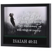 Framed Wall Art Eagle Isaiah 40:31 14x11