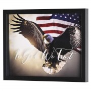 Framed Wall Art Eagle In God We Trust