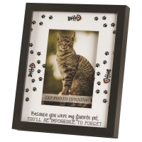 Wall D+â-¬cor Cat Favorite Pet Black Frame