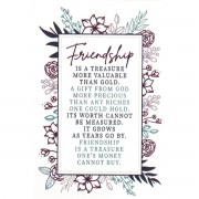 24pk -Itty Bitty Blessings FRIENDSHIP IS A TREASURE PAPER 2X3 - (Pack of 24) 24pk -Itty Bitty Blessings FRIENDSHIP IS A TREASURE PAPER 2X3 - (Pack of 24)
