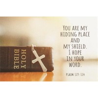 24pk -Itty Bitty Blessings YOU ARE MY HIDING PLACE PAPER 2X3 - (Pack of 24) 24pk -Itty Bitty Blessings YOU ARE MY HIDING PLACE PAPER 2X3 - (Pack of 24)