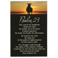 24pk -Itty Bitty Blessing Psalm 23 2"X 3" Card - (Pack of 24)