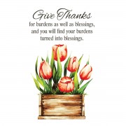 24pk -Itty Bitty Card Give Thanks For Burdens - (Pack of 24) 24pk -Itty Bitty Card Give Thanks For Burdens - (Pack of 24)