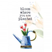 24pk -Itty Bitty Card Bloom Where You Are - (Pack of 24)