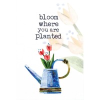 24pk -Itty Bitty Card Bloom Where You Are - (Pack of 24) 24pk -Itty Bitty Card Bloom Where You Are - (Pack of 24)