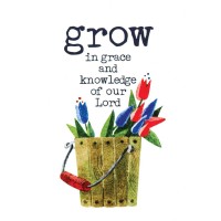 24pk -Itty Bitty Card Grow In Grace - (Pack of 24) 24pk -Itty Bitty Card Grow In Grace - (Pack of 24)